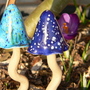 Are they mushrooms or toadstools? :)