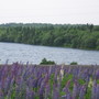 Img_4670
