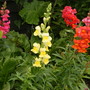 22_june_08_003