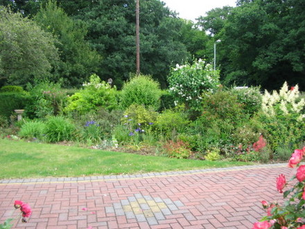 Maries front garden