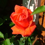 Abdul_s_pictures_015.jpg
