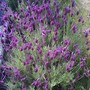july_143.jpg