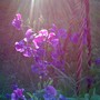 july_153.jpg