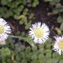 2008-07-01_034