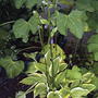 2008-07-01_2010