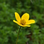20080626_193
