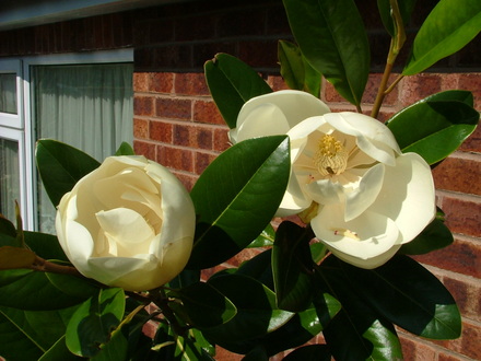 Imported_Photos_00089.jpg