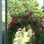 July_3rd_2008_011