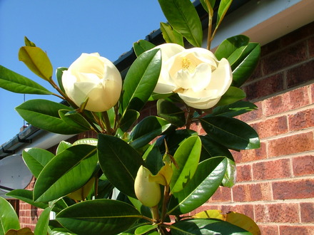 Imported_Photos_00091.jpg