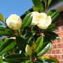 Imported_photos_00091