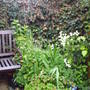 seating area.jpg