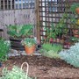 Sensory_garden