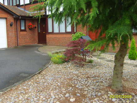 My walk to Tescos (Acer palmatum)