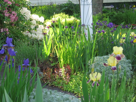 garden by lamp post