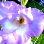 P1020574