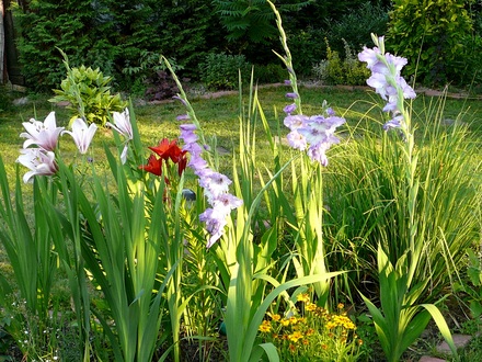 View of central flower bed in back garden.