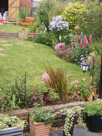 A garden flower photo