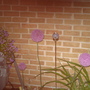 Dsc01490