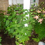Dsc01493