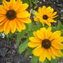 Pams_visit_056