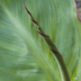 L1030486