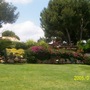 piccies from my hols