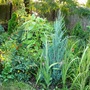 P1020581