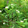 P1020584