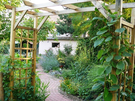 View looking up main path from arch in back garden.