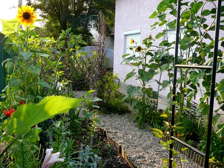 Front garden view