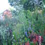 Imag0474