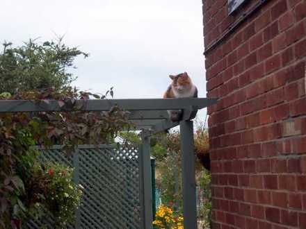 Keeper of the garden