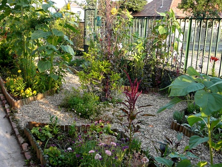 View of front garden