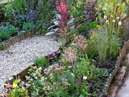 Pink and blue end of front garden.
