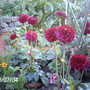 Today_001
