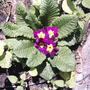 2008-07-04_014