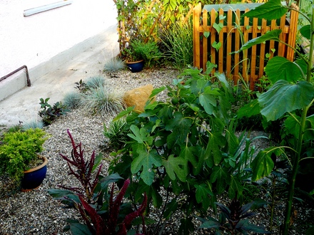 The other section of the front garden.