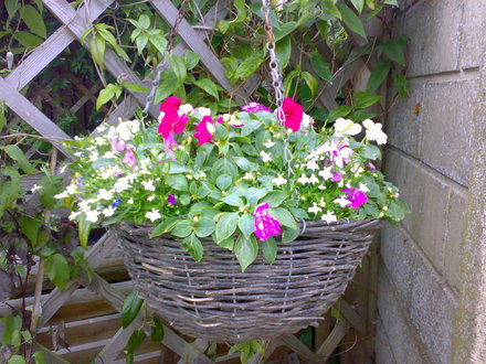 Basket