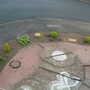 new front garden