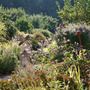 garden_view.jpg
