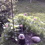 2008-07-04b_014
