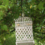 lantern_amongst_vine.jpg