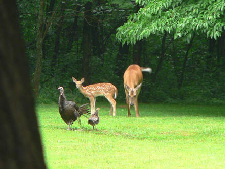 Moms and Babies