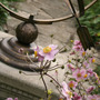 sundial_and_anemones.jpg