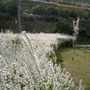 Cimg3634