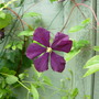 Dscn1780