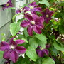 Dscn1783