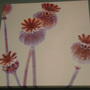 Poppy print on canvas