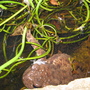 Gar19_005