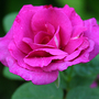 6-30-08_001